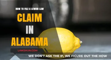 Alabama Lemon Law Claims: A Step-by-Step Guide to Filing