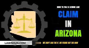Arizona Lemon Law Claims: A Step-by-Step Guide to Filing