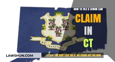 Filing a Lemon Law Claim in Connecticut: A Step-by-Step Guide