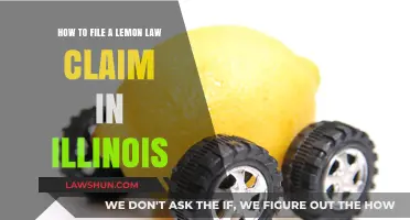 Illinois Lemon Law Claims: A Step-by-Step Guide to Filing