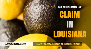 Louisiana Lemon Law: Step-by-Step Guide to Filing a Successful Claim