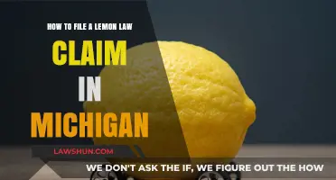 Filing a Lemon Law Claim in Michigan: A Step-by-Step Guide