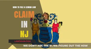 NJ Lemon Law Claim Guide: Steps to File Successfully