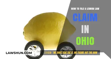 Ohio Lemon Law Claims: A Step-by-Step Guide to Filing Successfully
