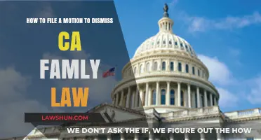 Filing a Motion to Dismiss in California Family Law Cases: A Guide