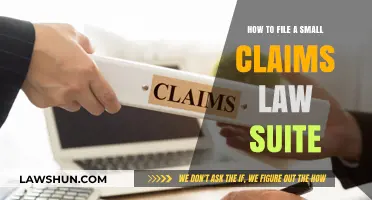 Filing a Small Claims Lawsuit: Step-by-Step Guide for Beginners