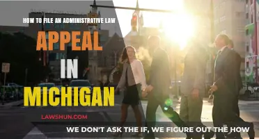 Mastering Michigan Administrative Law Appeals: A Step-by-Step Filing Guide