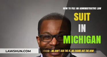 Filing an Administrative Lawsuit in Michigan: A Step-by-Step Guide
