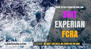 Filing a Class Action Lawsuit Against Experian Under the FCRA: A Guide
