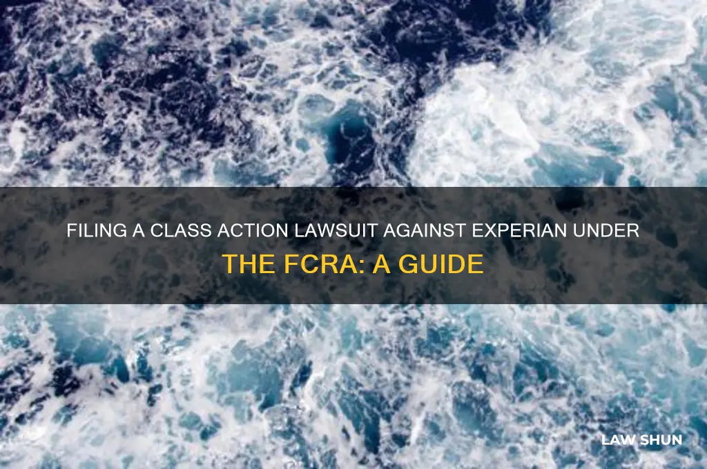 how to file class action law suit experian fcra