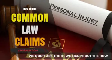 Understanding Common Law Claims: A Guide to Filing