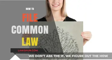 Understanding Common Law: Filing for Your Rights