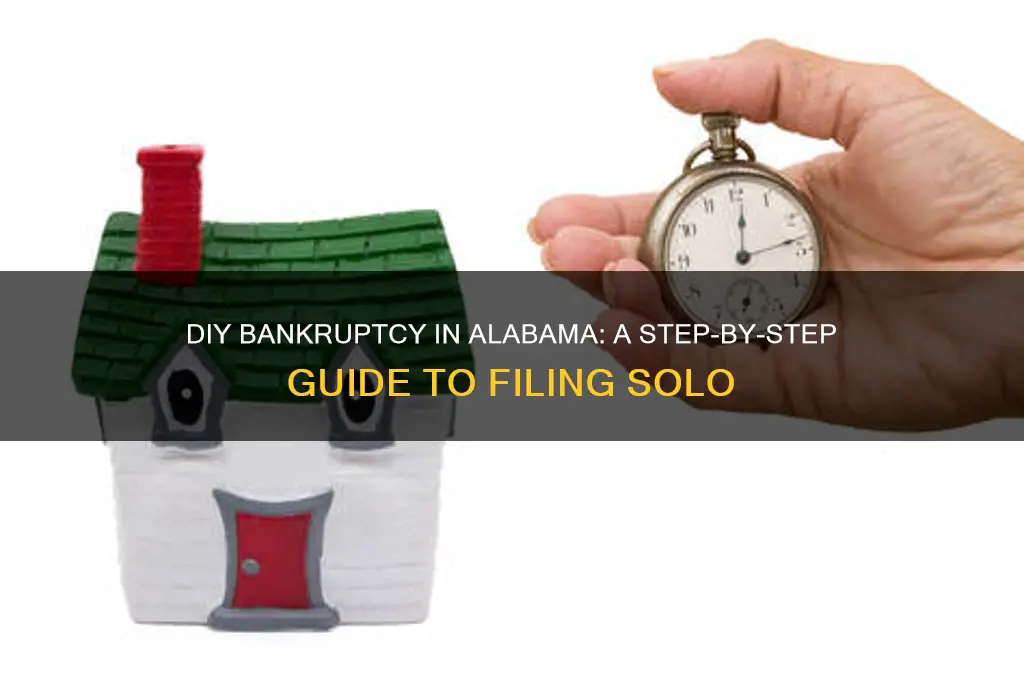 how to file for bankrupcy in alabama without a lawer