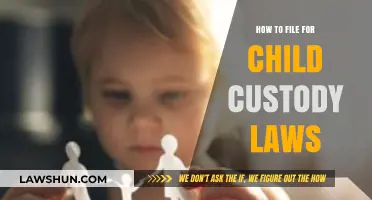 Navigating Child Custody Laws: A Step-by-Step Guide to Filing