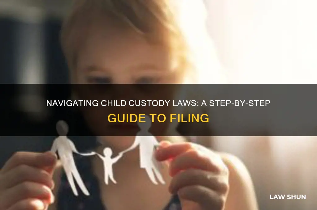 how to file for child custody laws
