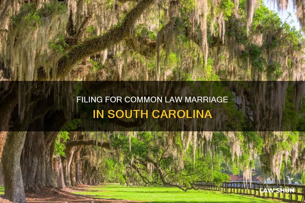 how to file for common law marriage in sc