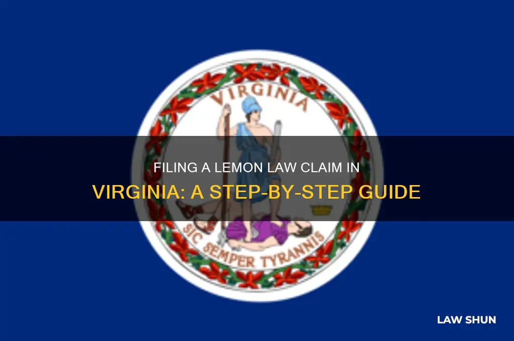 how to file for lemon law in va