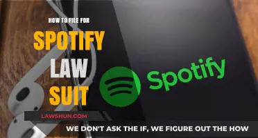 Filing a Spotify Lawsuit: Step-by-Step Guide to Protect Your Rights