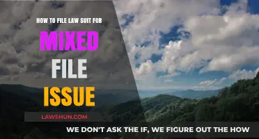 Filing a Lawsuit for Mixed File Issues: A Step-by-Step Guide