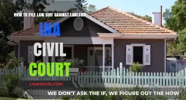 Filing a Lawsuit Against Your Landlord: A Step-by-Step Civil Court Guide