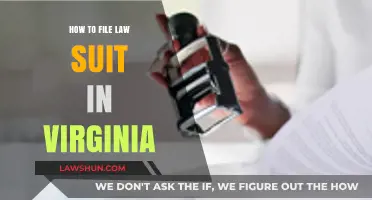 Filing a Lawsuit in Virginia: A Step-by-Step Legal Guide