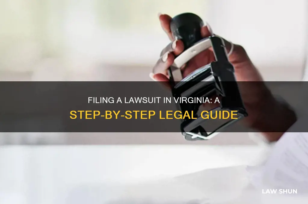 how to file law suit in virginia