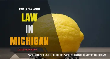 Filing a Lemon Law Claim in Michigan: A Step-by-Step Guide