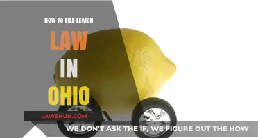 Ohio Lemon Law Guide: Steps to File a Claim Successfully