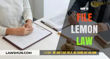 Mastering Lemon Law Claims: A Step-by-Step Guide to Filing Successfully