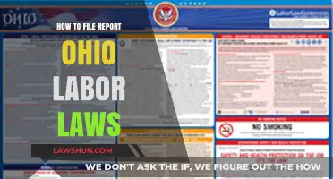Filing a Labor Law Report in Ohio: A Step-by-Step Guide