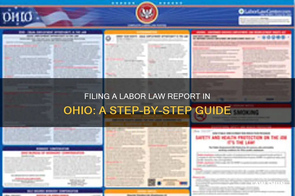 how to file report ohio labor laws