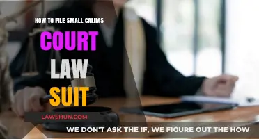 Filing a Small Claims Court Lawsuit: A Step-by-Step Guide