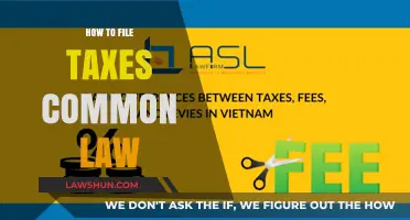 Filing Taxes: Common-Law Essentials