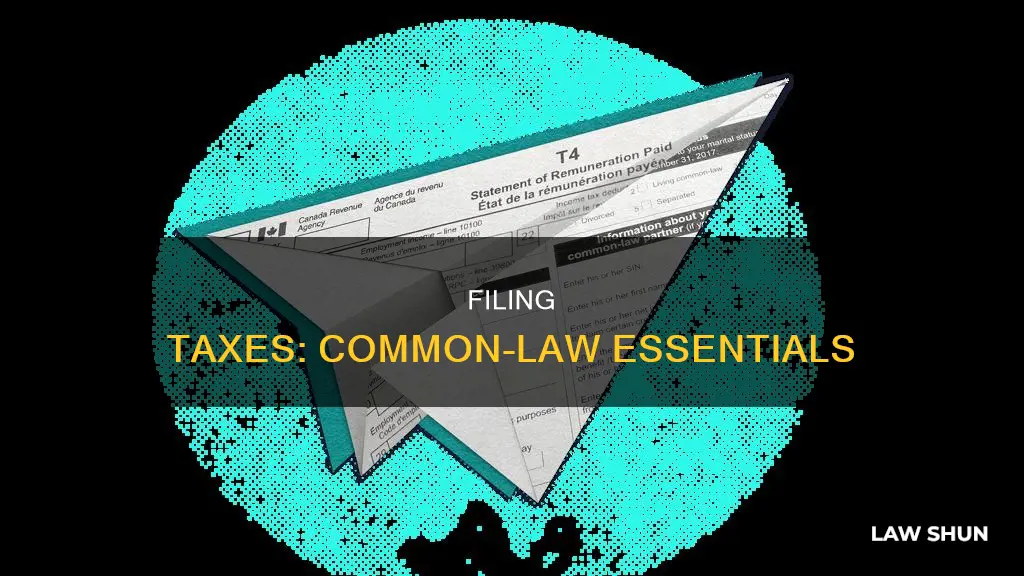 how to file taxes common law