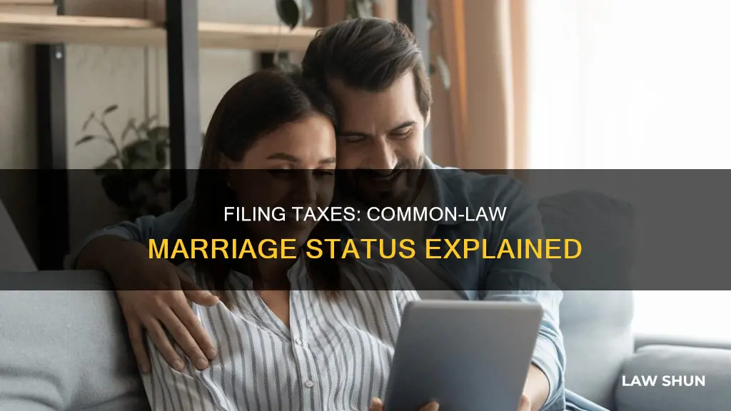 how to file taxes if common law married