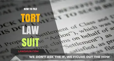 Filing a Tort Lawsuit: Step-by-Step Guide to Protect Your Rights