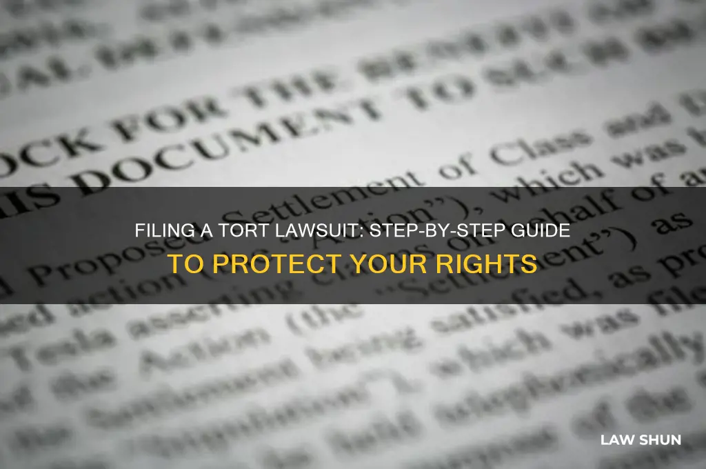 how to file tort law suit