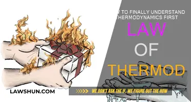 Understanding the First Law of Thermodynamics: Energy Conservation Fundamentals