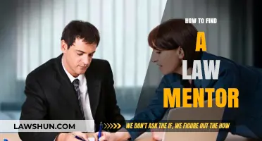 Finding Your Legal Guide: Tips to Secure a Law Mentor