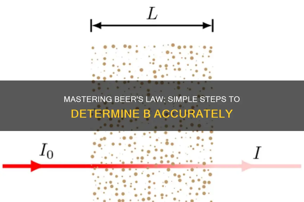 how to find b in beer