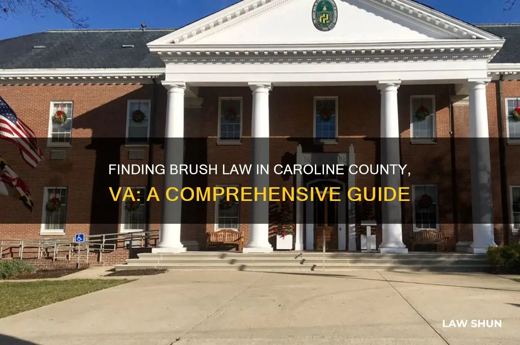 how to find brush law in caroline county va
