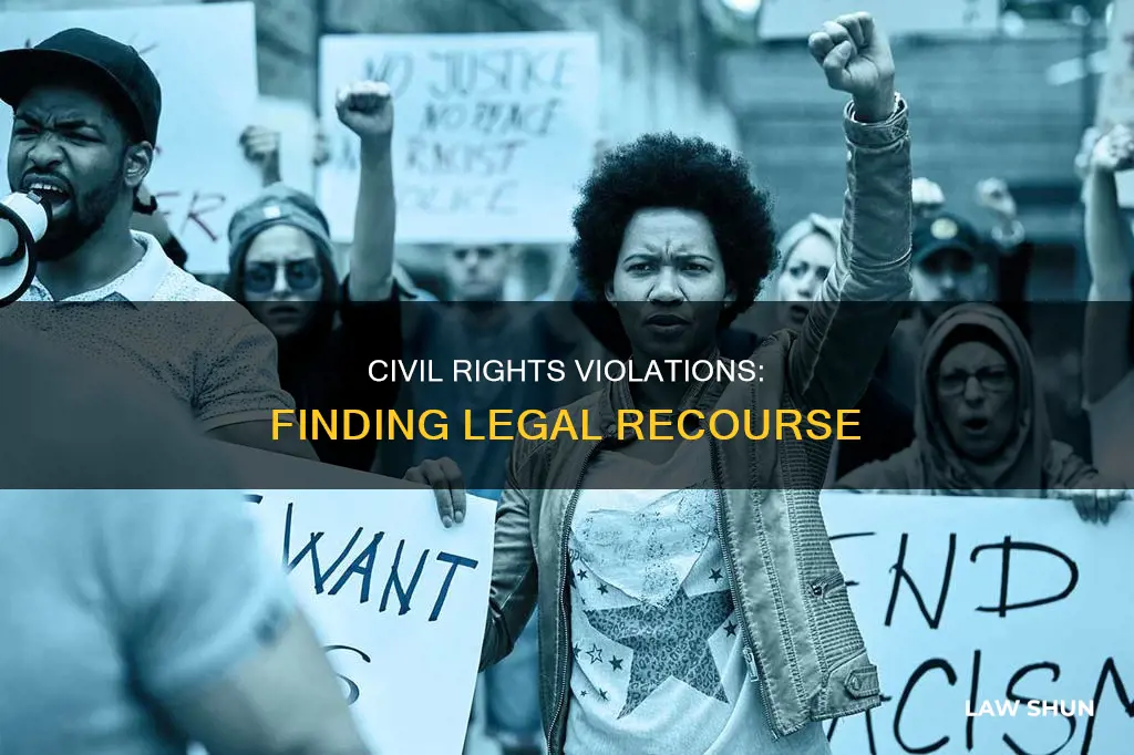 how to find civilbright violations forr law case