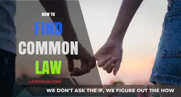 Finding Common Law: A Guide to Locating Legal Precedents