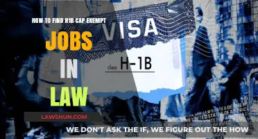 Unlocking H1B Cap Exempt Law Jobs: Strategies for Legal Professionals