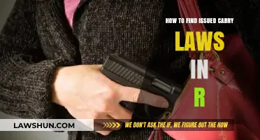 Navigating R's Carry Laws: A Comprehensive Guide to Issued Regulations