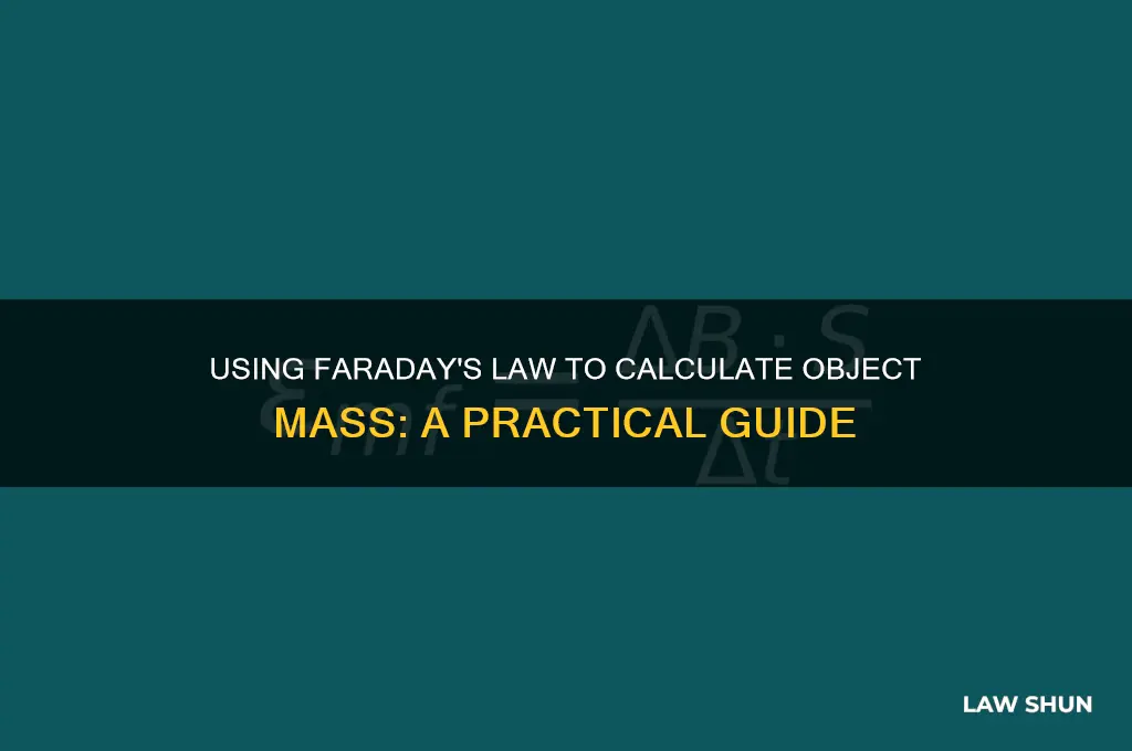 how to find mass of an object from faraday