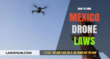 Navigating Mexico's Drone Regulations: A Comprehensive Guide for Pilots