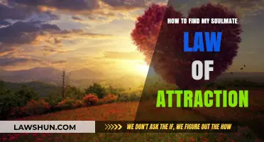 Manifesting Love: Using the Law of Attraction to Find Your Soulmate
