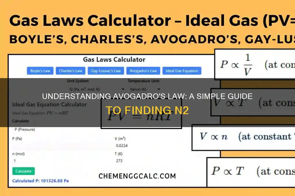 how to find n2 in avogadro