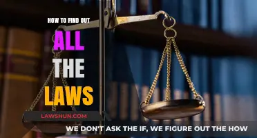 Mastering Legal Research: A Comprehensive Guide to Discovering All Laws
